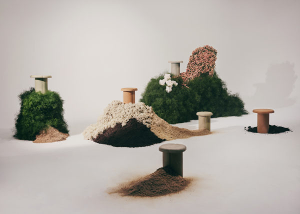 mater alder collection